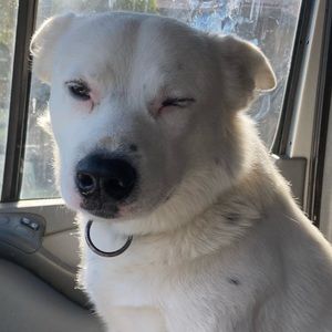 Meet your Posher, Ethan